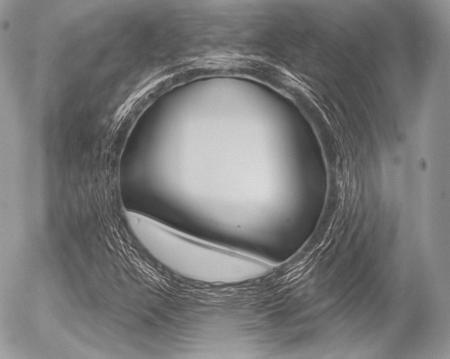 X0000056371304200508260910