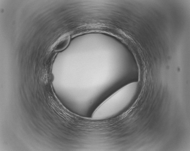 X0000056371306200508260910