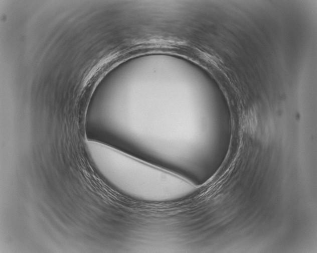 X0000056371307200508260910