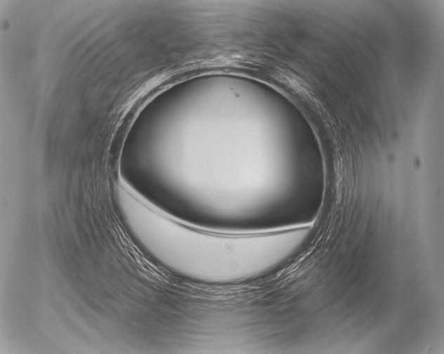 X0000056371308200508260910