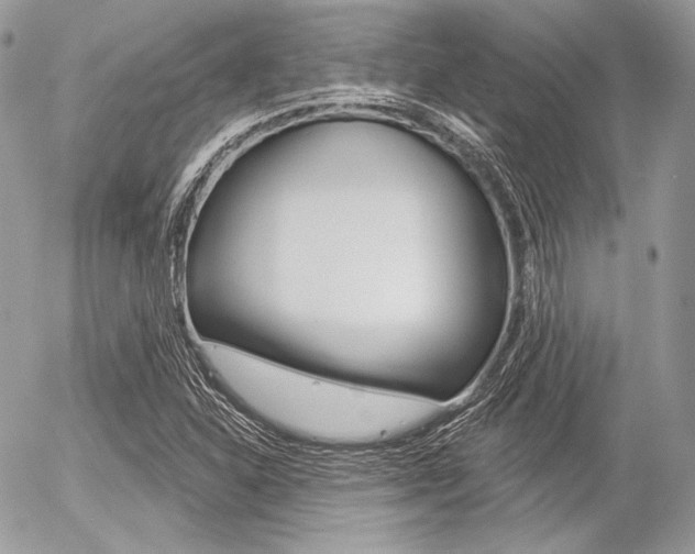 X0000056371310200508260910