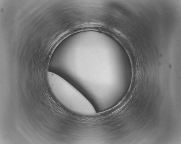 X0000056371313200508260910