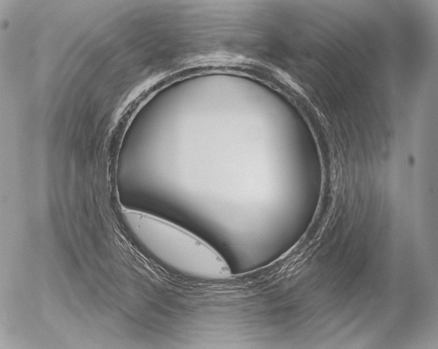 X0000056371315200508260910