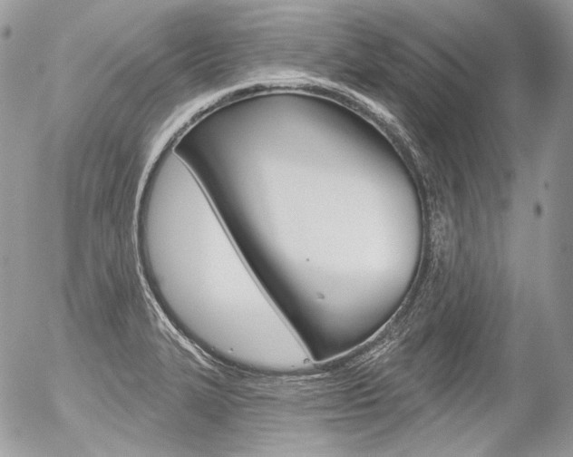 X0000056371327200508260910