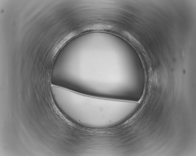 X0000056371329200508260910