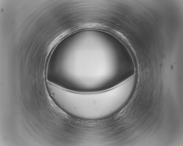 X0000056371330200508260911
