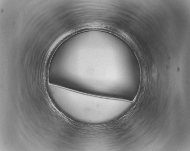 X0000056371331200508260911