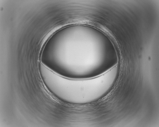 X0000056371332200508260911