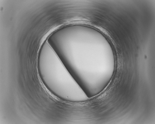 X0000056371333200508260911