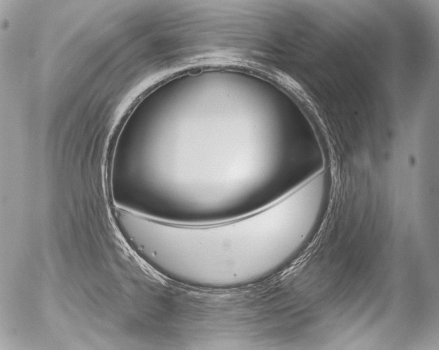 X0000056371334200508260911