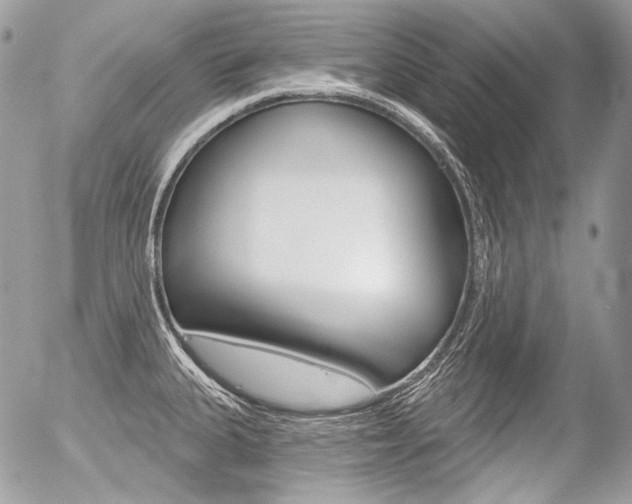 X0000056371335200508260911