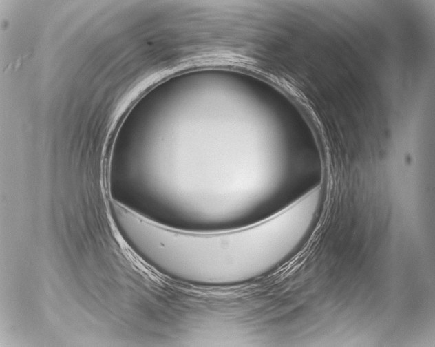X0000056371342200508260911