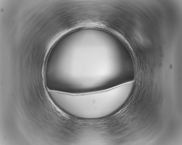 X0000056371343200508260911