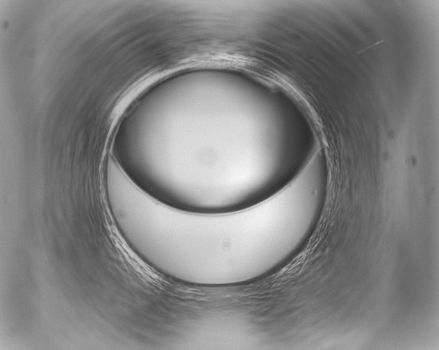 X0000056371344200508260911