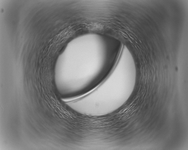X0000056371345200508260910