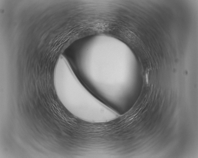 X0000056371347200508260910
