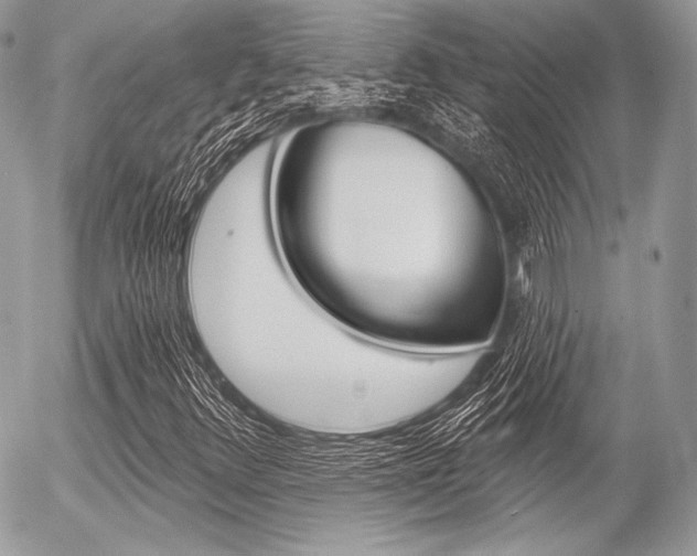 X0000056371348200508260910
