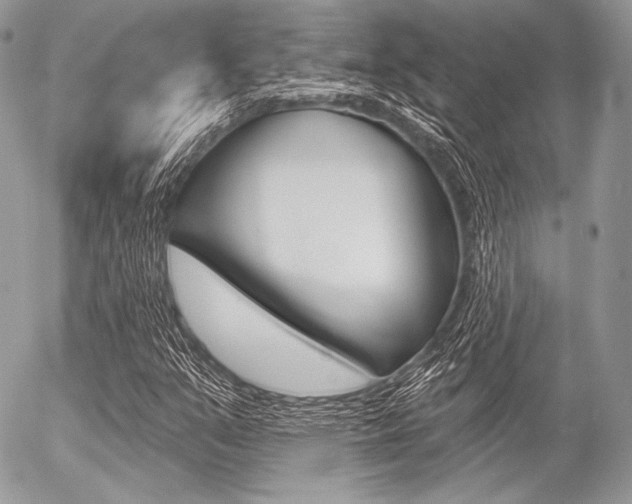 X0000056371351200508260910