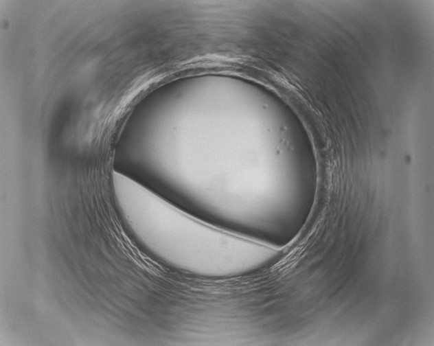 X0000056371355200508260910