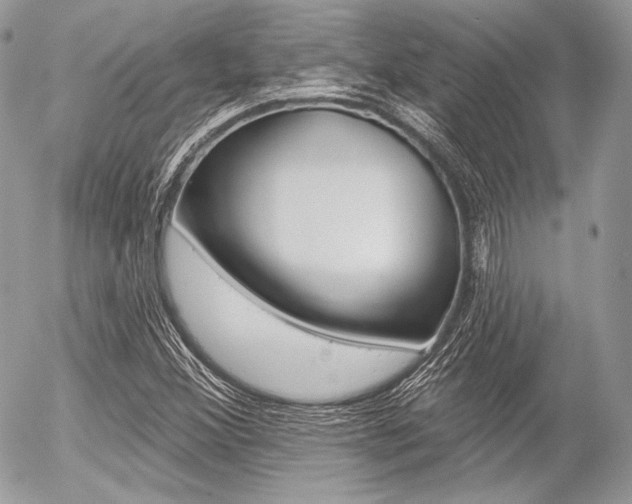 X0000056371356200508260910
