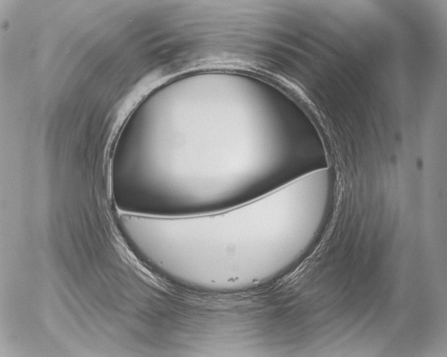 X0000056371371200508260910