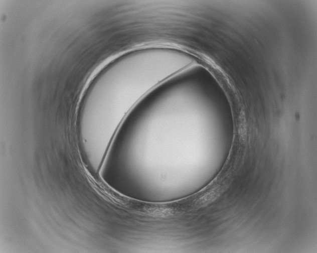 X0000056371372200508260910
