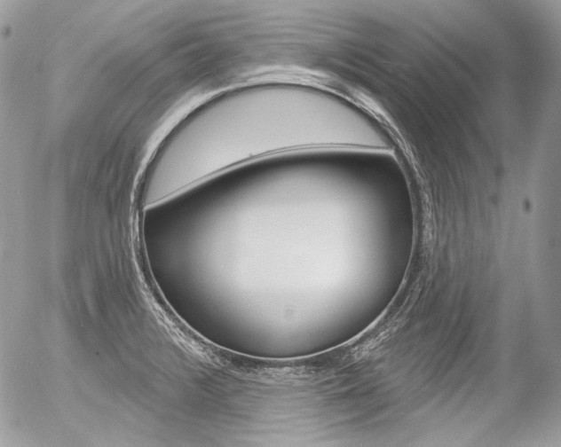 X0000056371376200508260909