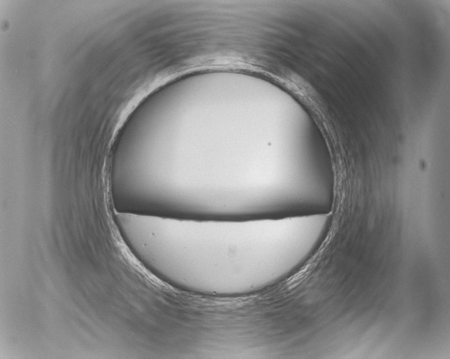 X0000056371382200508260909