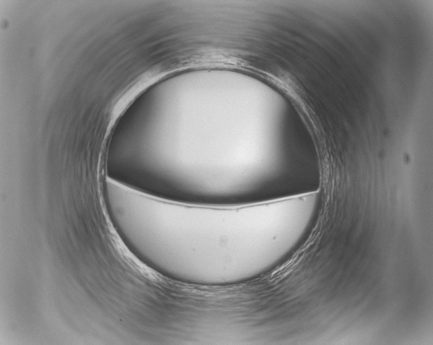 X0000056371387200508260909