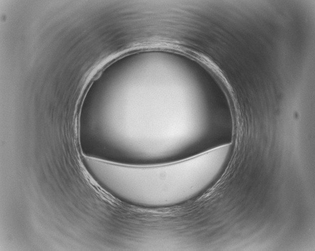 X0000056371388200508260909