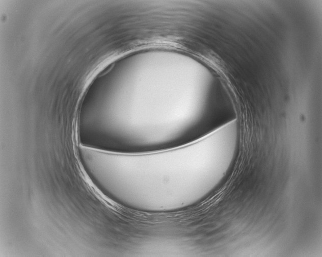 X0000056371391200508260909