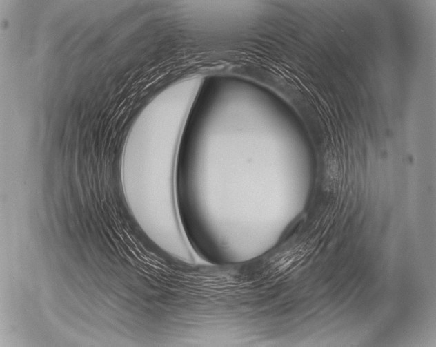 X0000056371394200508260908
