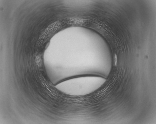 X0000056371395200508260908
