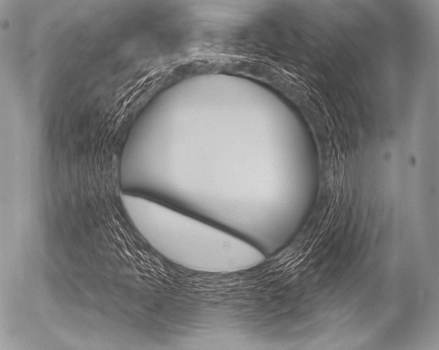 X0000056371397200508260908