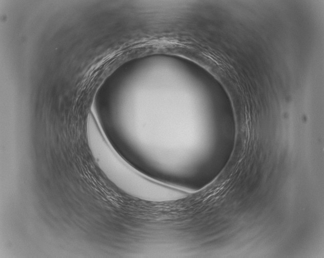 X0000056371398200508260908