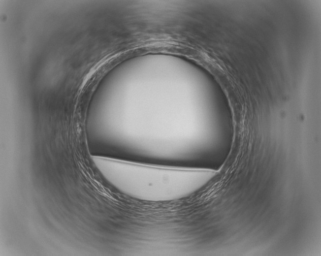 X0000056371400200508260909