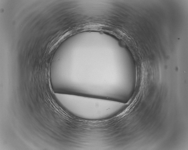 X0000056371401200508260909