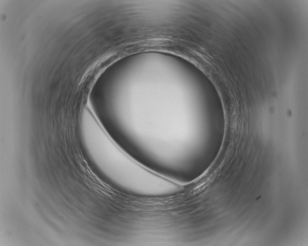 X0000056371402200508260909