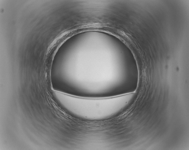 X0000056371406200508260909