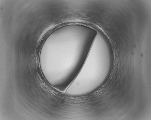 X0000056371408200508260909