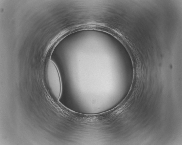 X0000056371410200508260909