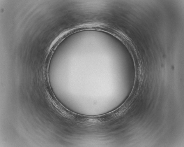 X0000056371412200508260909