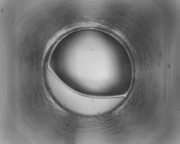 X0000056371414200508260909