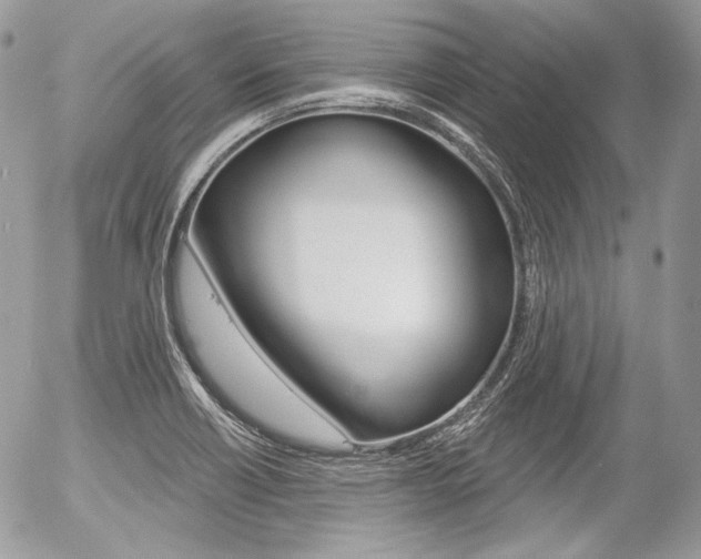 X0000056371418200508260909