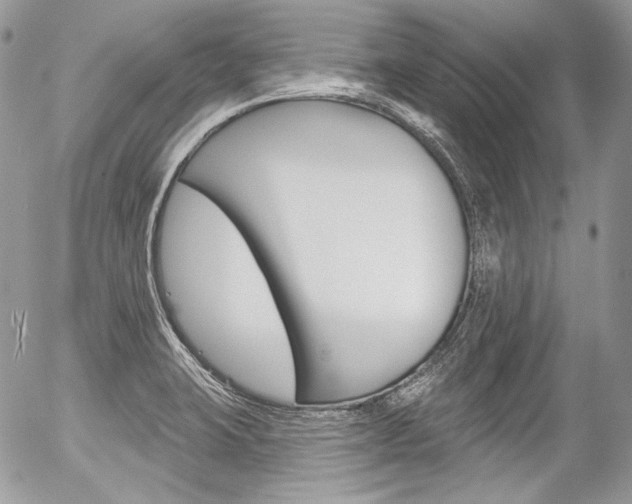 X0000056371423200508260909