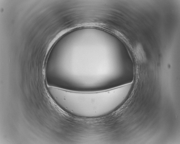 X0000056371428200508260909