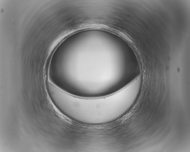 X0000056371430200508260909