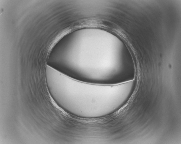X0000056371433200508260909