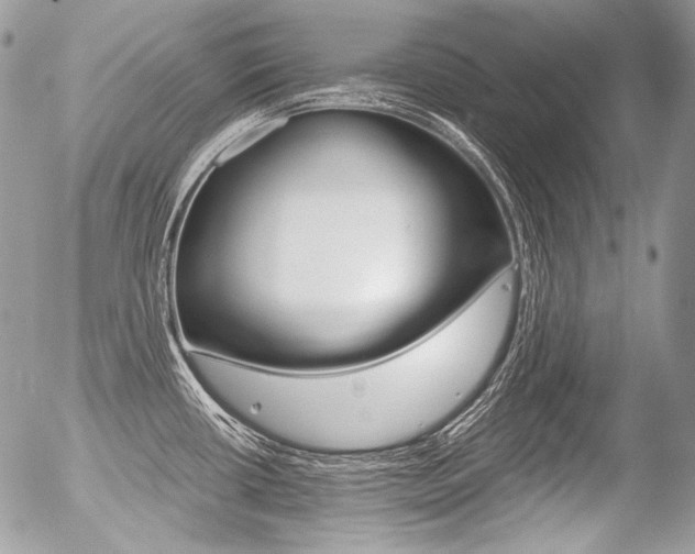X0000056371434200508260909