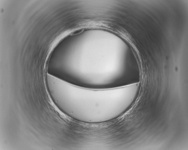 X0000056371437200508260909